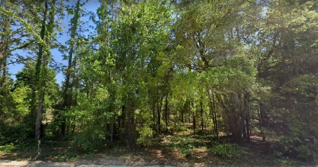 Williston, FL 32696,NE 50TH PL