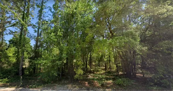 NE 50TH PL, Williston, FL 32696