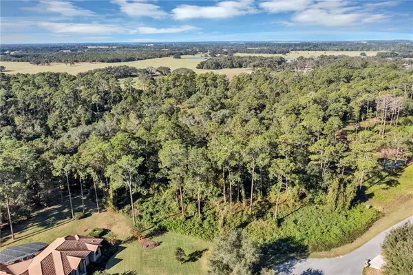 Tavares, FL 32778,Lot-40 GRAND OAK LN