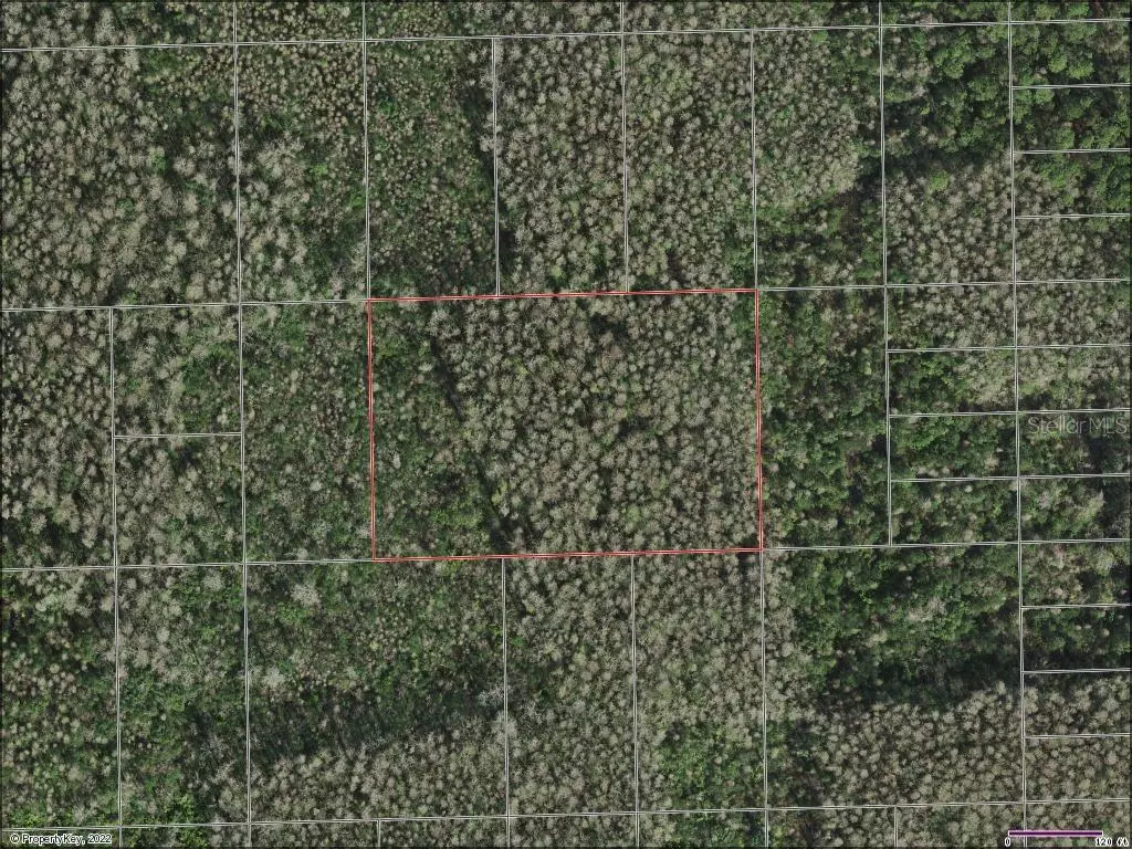 Saint Cloud, FL 34771,0 HOLOPAW GROVES RD