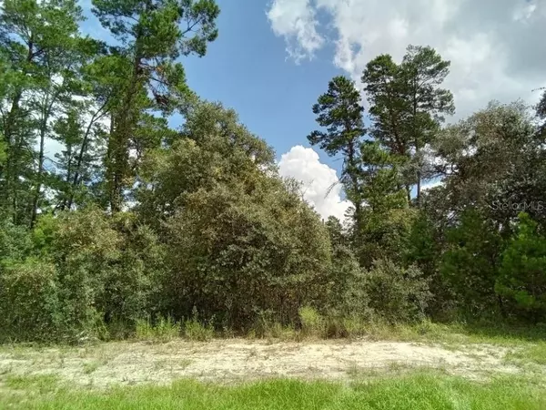 Ocala, FL 34473,0 SW 37TH TER