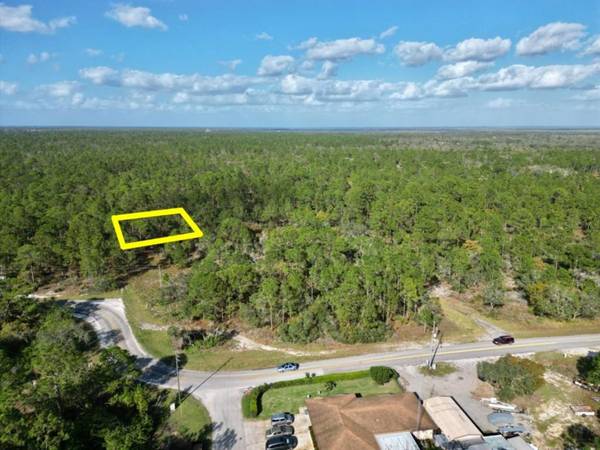 209 SUNNYSIDE DR, Lake Placid, FL 33852