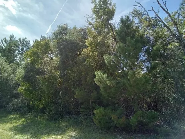 Ocala, FL 34473,0 MARION OAK CRSE #1