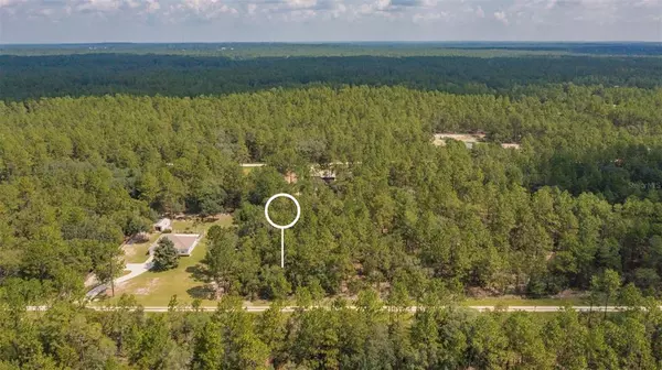 Dunnellon, FL 34432,TBD SW 78TH PL