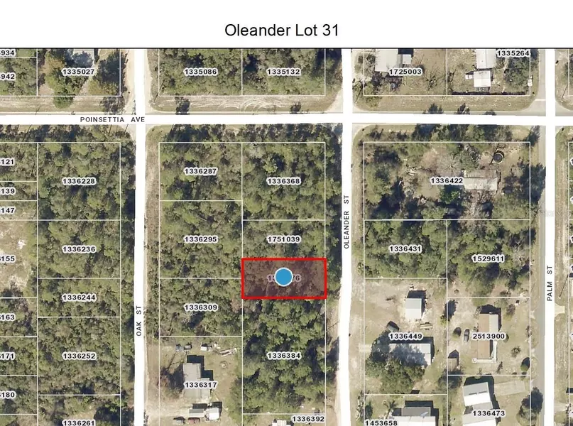 OLEANDER ST, Paisley, FL 32767