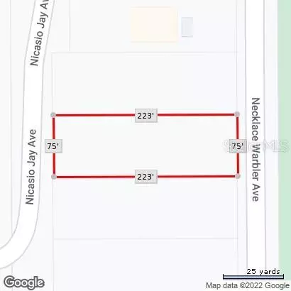 Weeki Wachee, FL 34614,17286 NICASIO JAY AVE