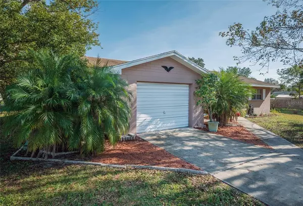 Debary, FL 32713,43 MATANZAS RD