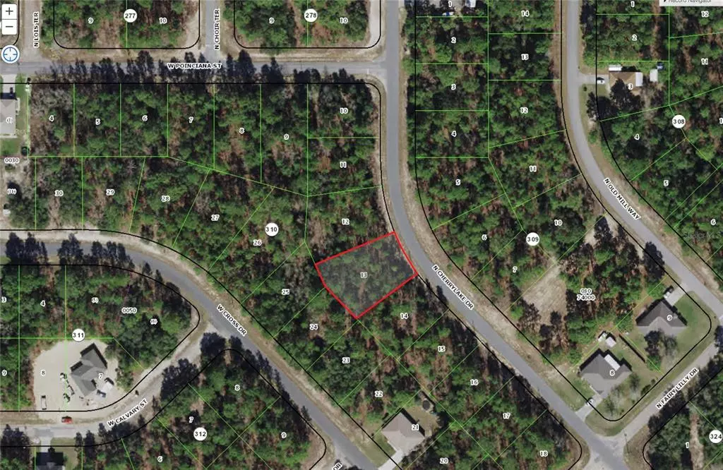 Citrus Springs, FL 34433,9552 N CHERRY LAKE DR