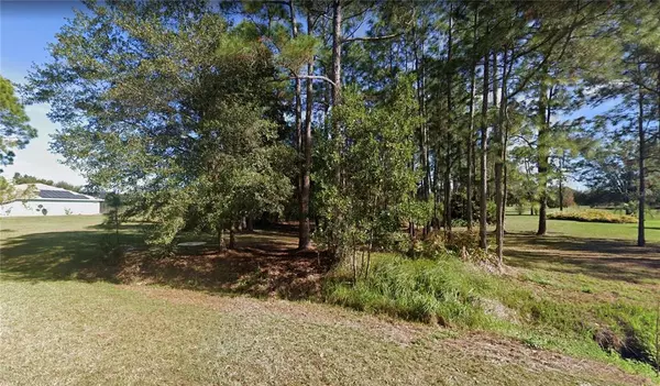 Indian Lake Estates, FL 33855,Lot 19 LIMONIA DR