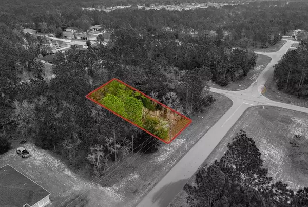 Ocala, FL 34473,0000 SW 131ST LN