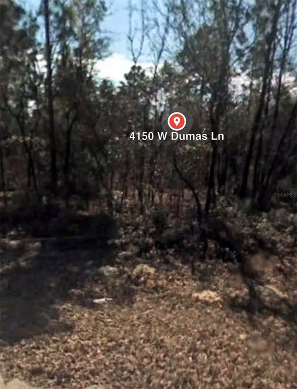 Citrus Springs, FL 34433,4150 W DUMAS LN