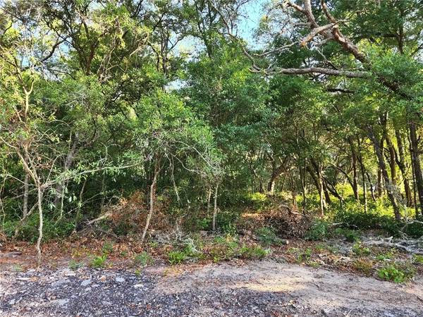 CASAURINA RD #25, Lady Lake, FL 32159