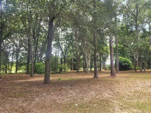 Leesburg, FL 34748,LOT 5 BONSMARA DR