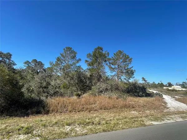 109 MARTINIQUE AVE NE, Lake Placid, FL 33852