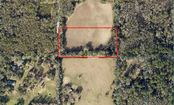 Micanopy, FL 32667,00 NW 197TH PLACE