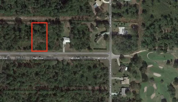 Indian Lake Estates, FL 33855,0 PALM AVE DR