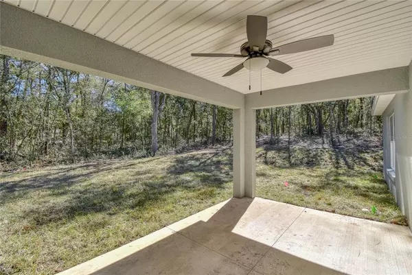 Citrus Springs, FL 34434,11181 N GLENDA TER