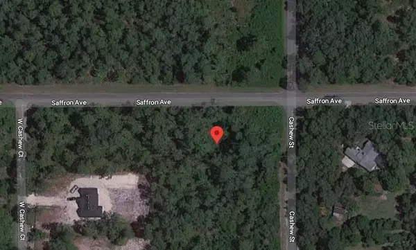 Eustis, FL 32736,0 CASHEW ST