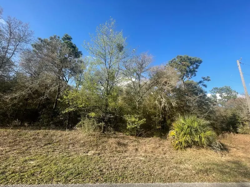 CHILLA CT #TBD, Dunnellon, FL 34431