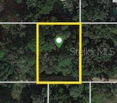 SE 157TH ST, Umatilla, FL 32784