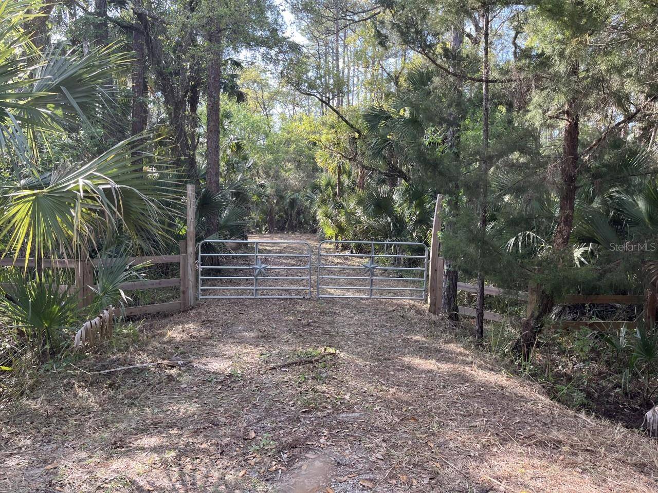 1290 GOPHER SLOUGH RD, Mims, FL 32754