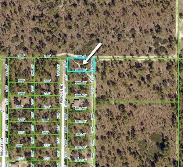 Weeki Wachee, FL 34614,16496 MERCER RD