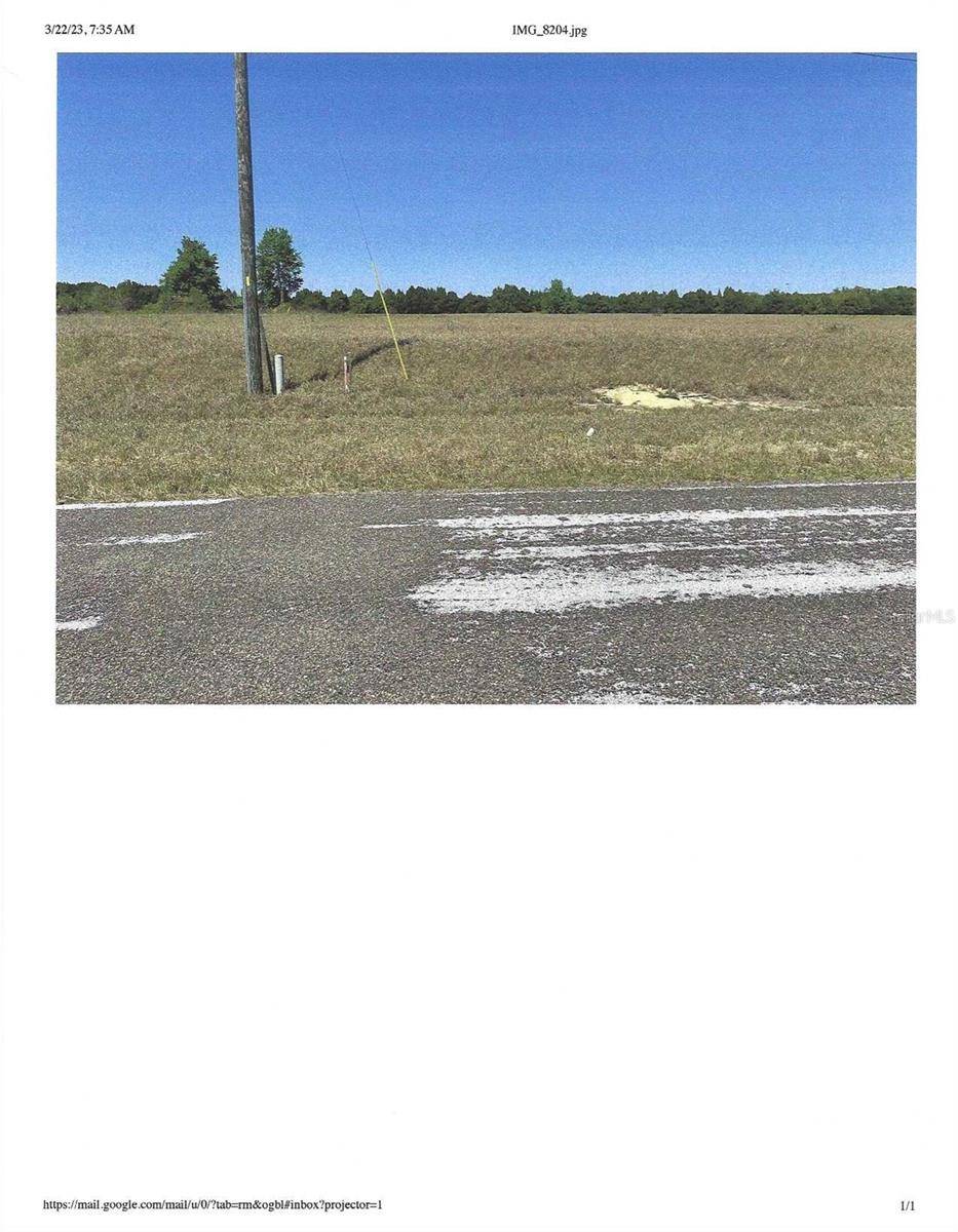 HAMMOCK GROVE RD,  Groveland,  FL 34736