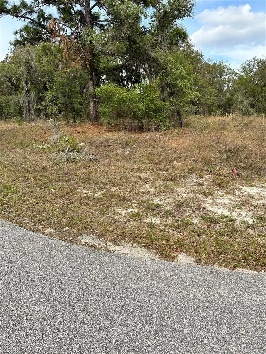 Dunnellon, FL 34431,SOUTHWEST RAINELLE RD