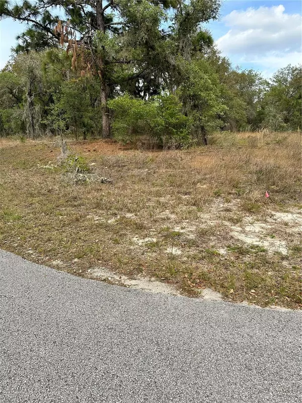 SOUTHWEST RAINELLE RD, Dunnellon, FL 34431