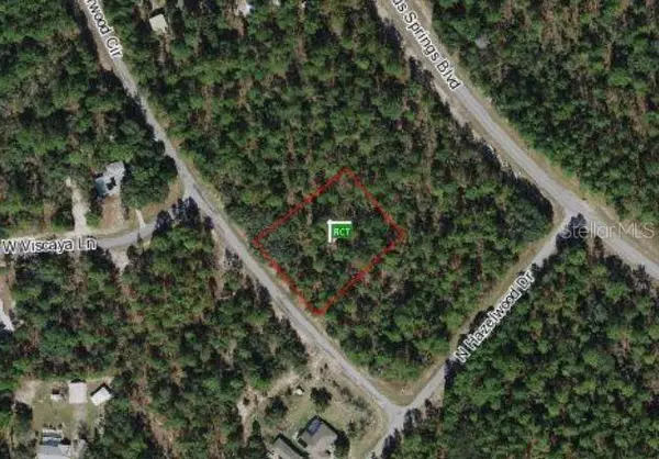 Citrus Springs, FL 34433,7357 N FIRWOOD CIR