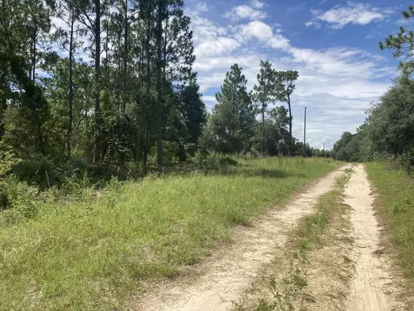 Morriston, FL 32668,0 SE 150TH AVE