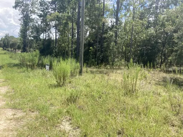 Morriston, FL 32668,0 SE 150TH AVE