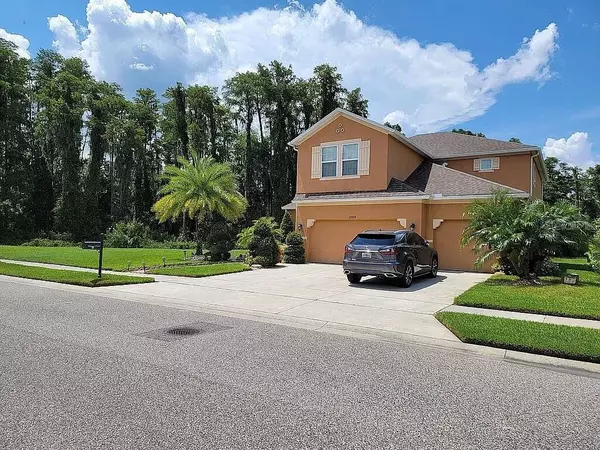 Land O Lakes, FL 34639,22909 WOOD VIOLET CT