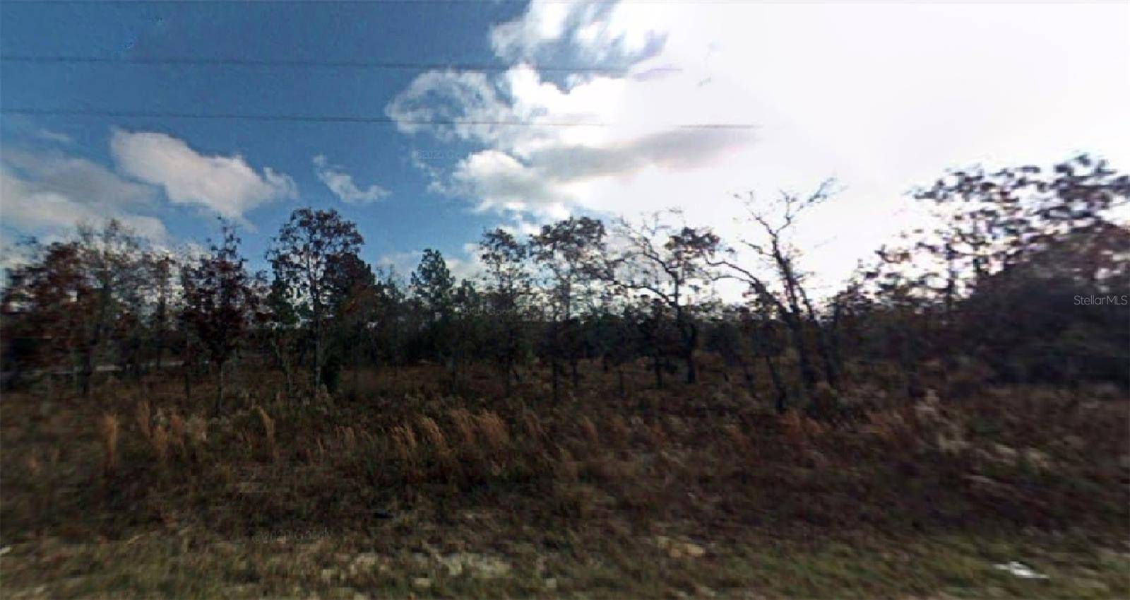 SW VIBURNUM RD, Dunnellon, FL 34431