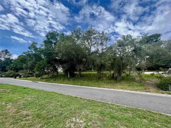 Clermont, FL 34711,SUNNYSIDE DR #Lot 35 & 36