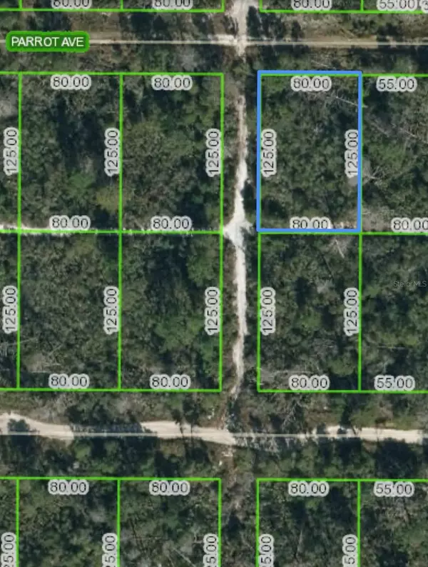 Sebring, FL 33872,509 PARROT AVE