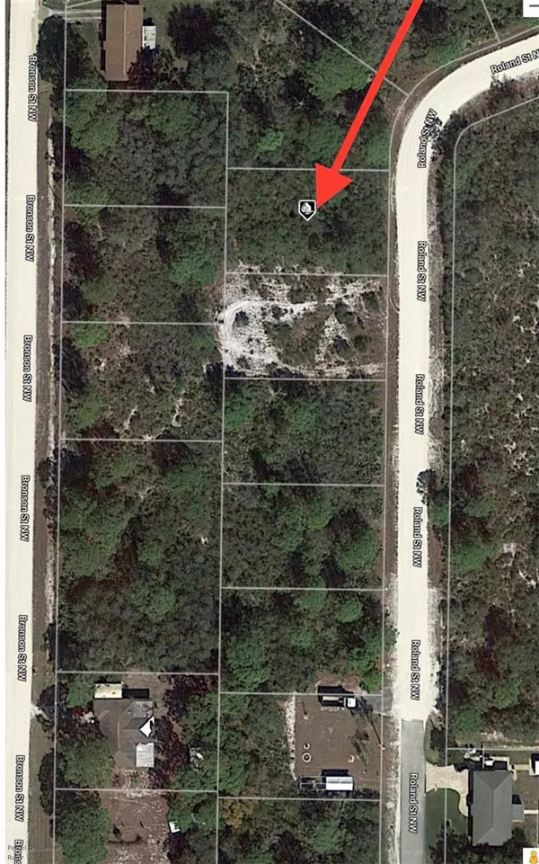 Lake Placid, FL 33852,113 ROLAND ST NW