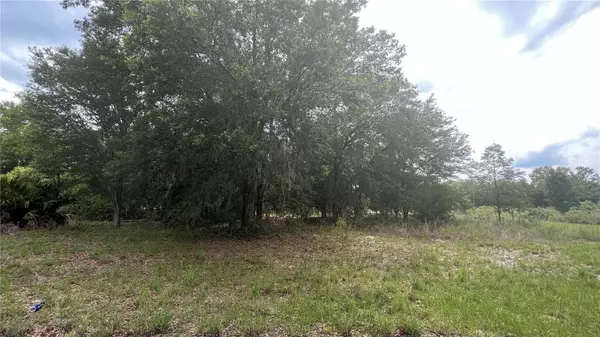 UNDETERMINED, Ocala, FL 34473