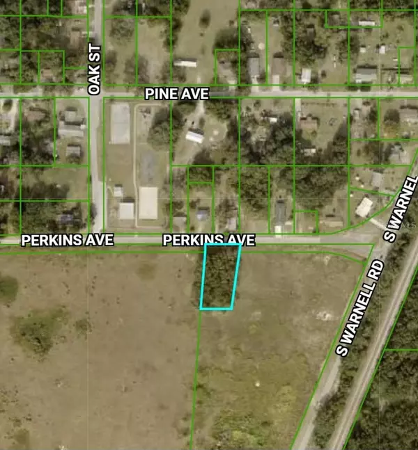 Coleman, FL 33521,TBD PERKINS AVE