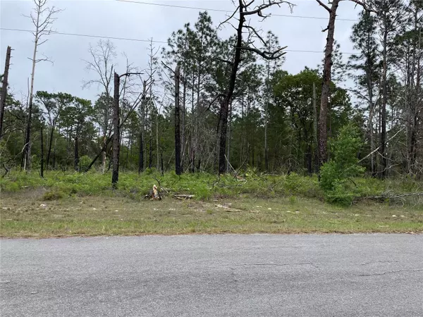 TBD SW 64TH TERRACE RD, Ocala, FL 34473