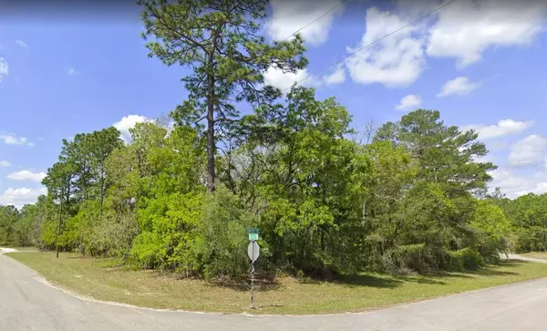 Ocala, FL 34473,6420 SW 155 PL