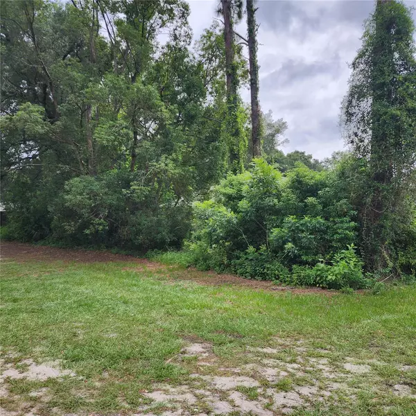 Mount Plymouth, FL 32776,Lot 23 VERO ST