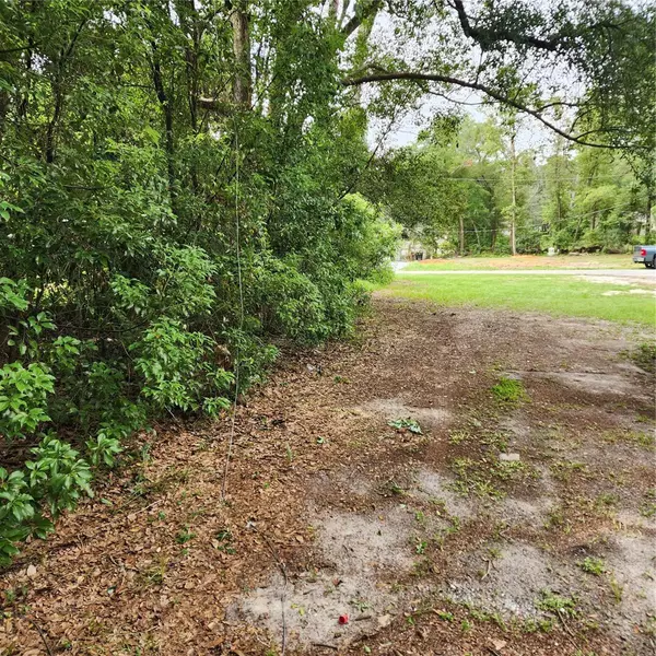 Mount Plymouth, FL 32776,Lot 23 VERO ST