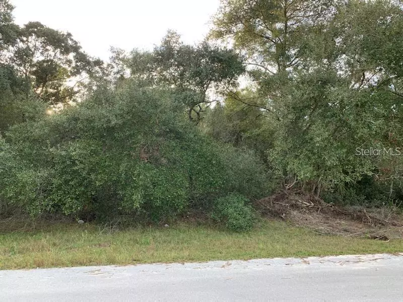 Ocala, FL 34473,LOT 11SW 27TH CT