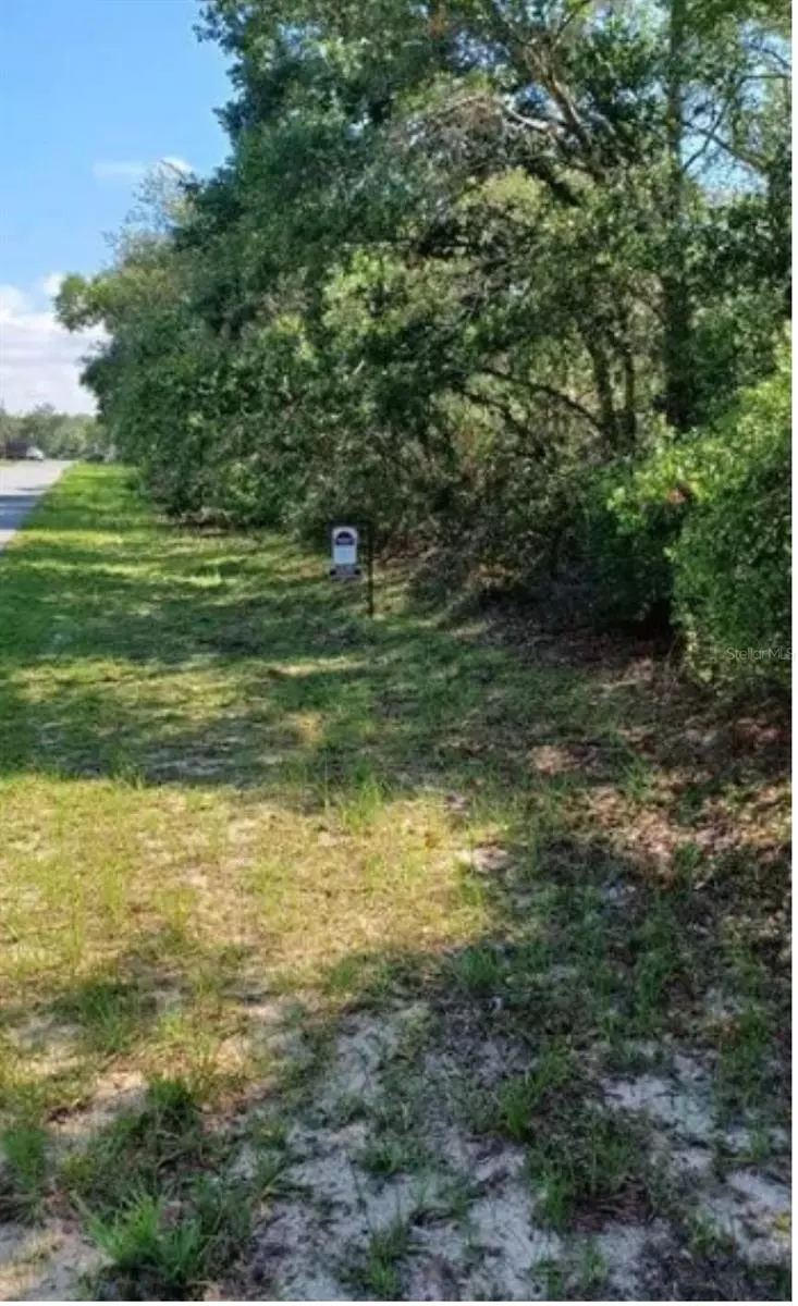 Ocala, FL 34473,LOT 11SW 37 AVE