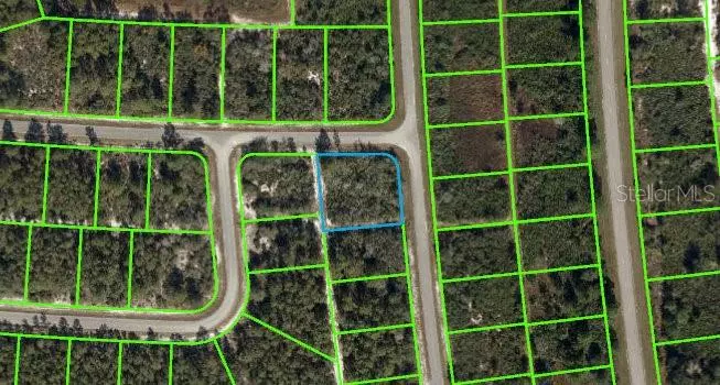 Sebring, FL 33872,6249 VIRTUDES ST