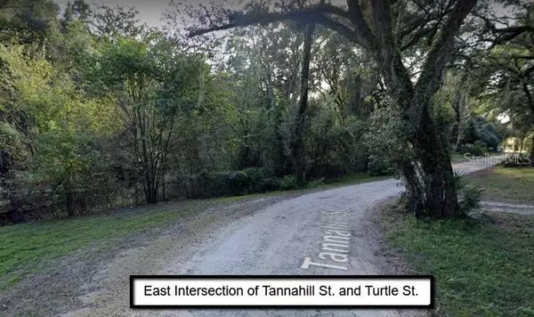 TANNAHILL ST, Dade City, FL 33523