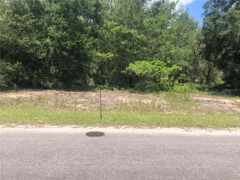 MALAUKA LOOP, Weirsdale, FL 32195