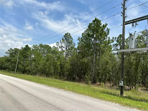 Dunnellon, FL 34432,XX SW 66TH LOT 11 ST