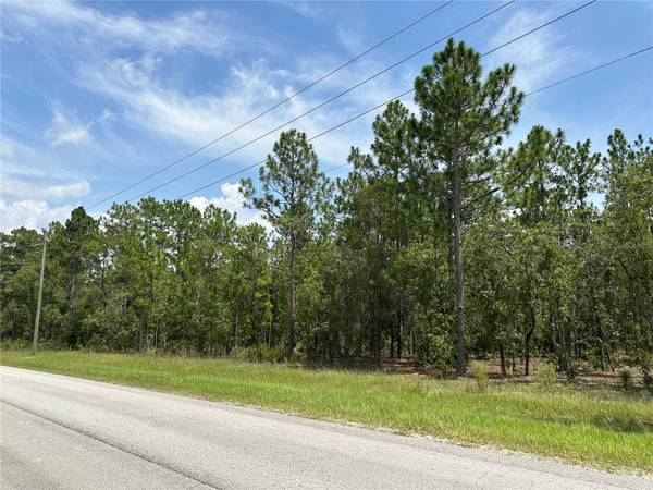 XX SW 66TH LOT 11 ST, Dunnellon, FL 34432